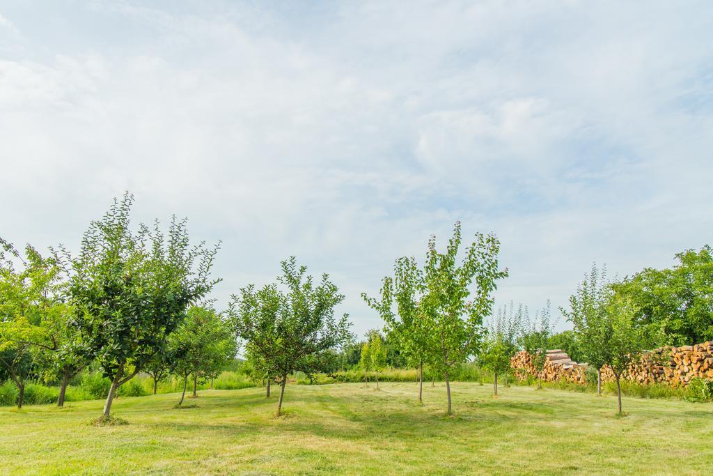 Drenje  Garden Holiday Home מראה חיצוני תמונה